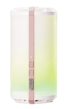 Original Scentsy Go