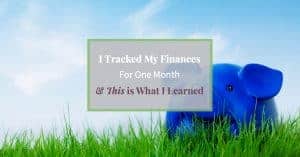 Blue piggy bank on grassy hill with text "The importance of tracking your finances"