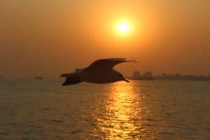 Heritage and Historical Significance of Alibaug