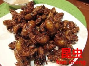 世界のやばいゲテモノ料理をたくさん紹介 日本 ベトナム 中国など ミラノマガジン Byレストラン味楽乃