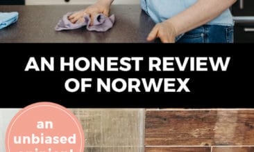 Which Norwex Kitchen Cloth(s) You Need in Your Life - Honest Norwex Reviews