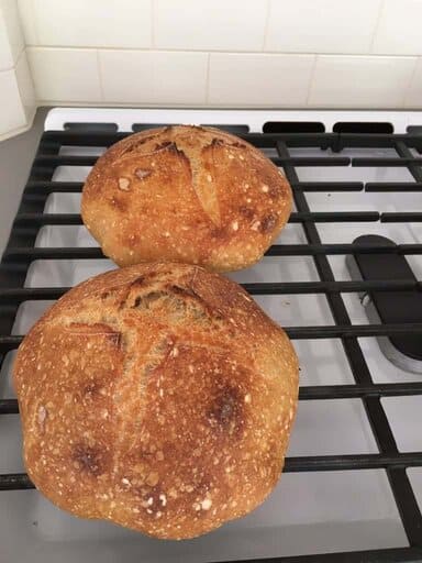 Two homemade loaves of sourdough bread