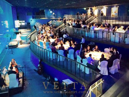 Winnie's Wedding at SEA Aquarium, RWS