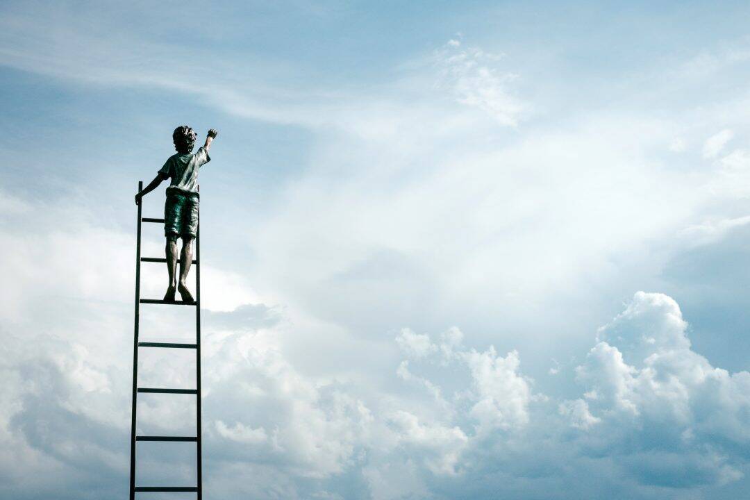 Agile Principle 5 - Motivation, Support, and Trust