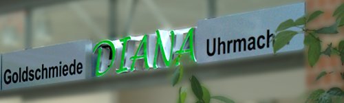 diana-sachsenallee-chemnitz-future-werbeagentur-chemnitz