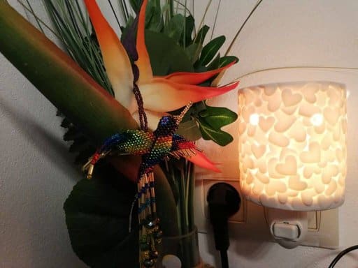 Share your heart plugin warmer lights up for World Vision UK