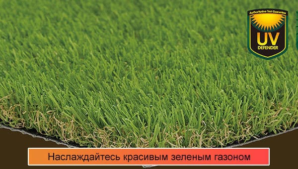 одна из лучших ландшафтных трав