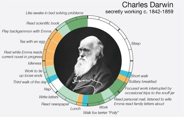 8 Ways to Address Your Workplace Stress You Can Start Today 3 Charles Darwin schedule - workplace stress