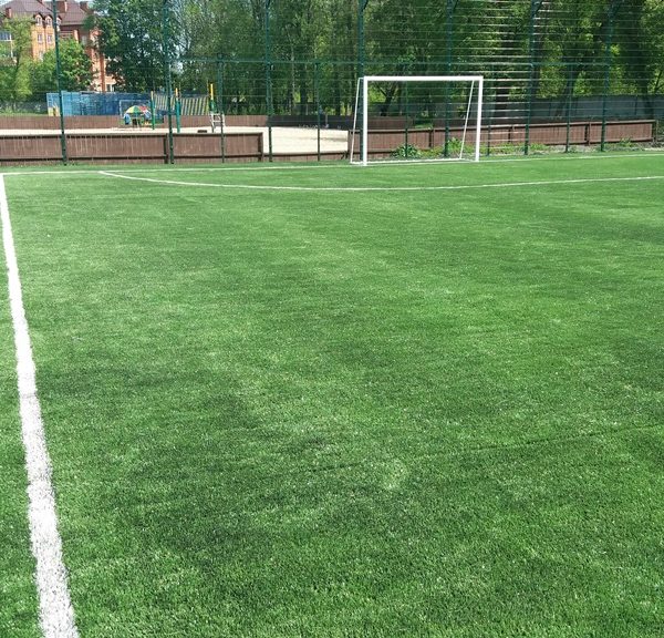 Искусственная трава фото