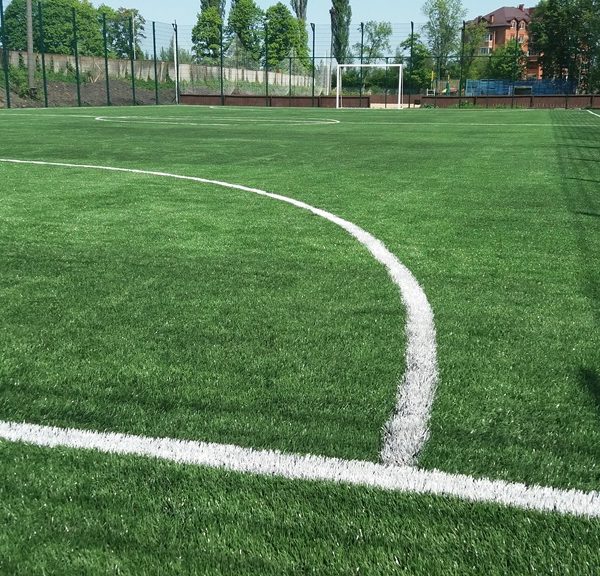 Искусственная трава фото