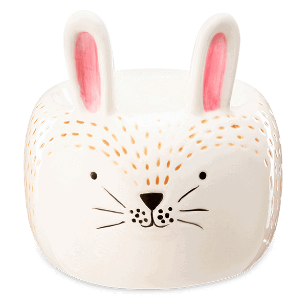 Hip Hop Hooray Scentsy Warmer