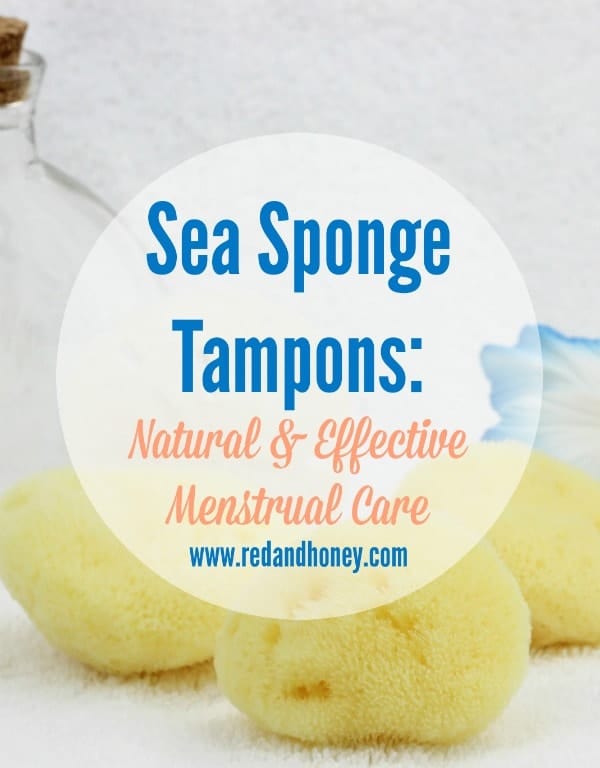 Sea Sponge Tampons Natural & Effective Menstrual Care Red and Honey