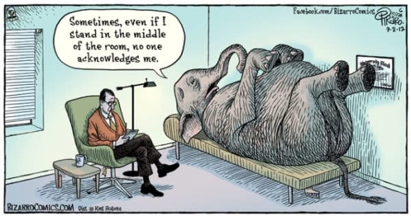 How to Develop More Empathy for Your Manager to Better Manage Up and Get What You Want 3 you can better manage up by getting the elephants out of the room