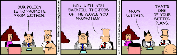 Questions to Ask a CEO to Ensure a Healthy Company Culture 14