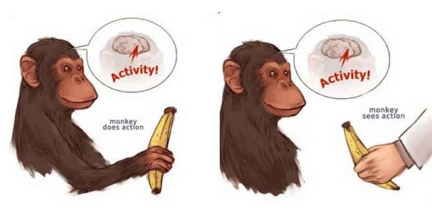 How to Improve Your Emotional Intelligence to Become a Better Leader 7 how to improve emotional intelligence mirroring