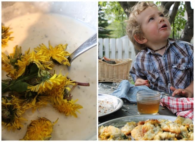 Collage image of dandelion flowers in batter, and a young boy at a table with dandelion fritters to eat.