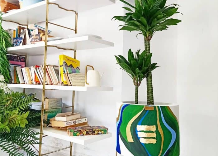 Image annonce: Pot et plante