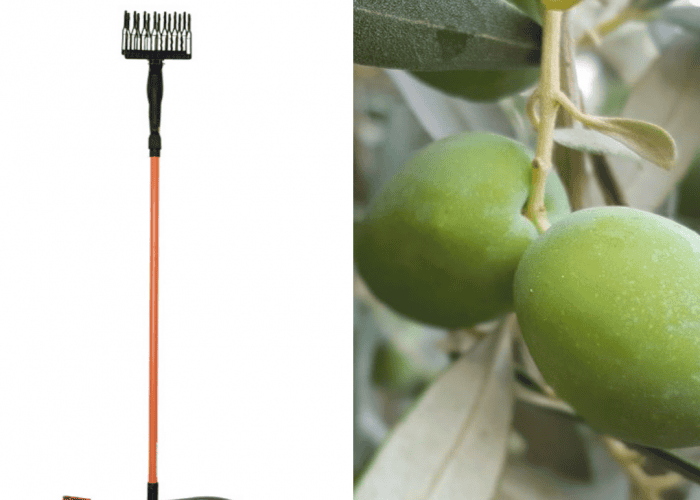 Image annonce: Vibreur pour la récolte d’olives