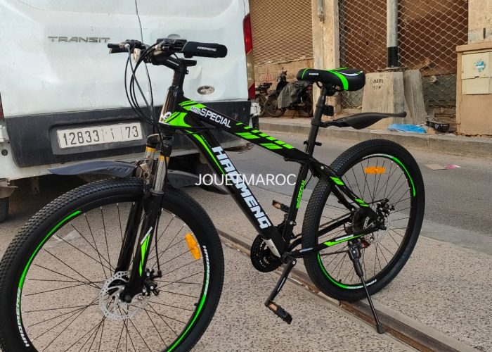 Image annonce: Vélo HADMENG