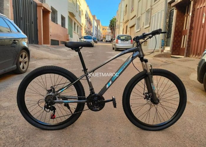 Image annonce: VÉLO VTT GÉANT 2024