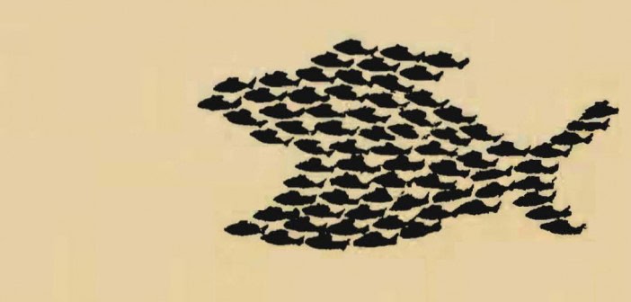 private-b-schools-unite-against-hrd-iim-bill