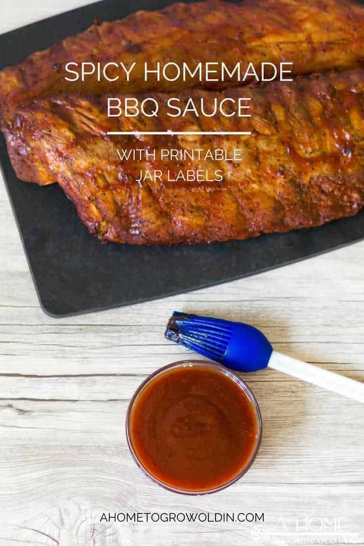 Make Your Own Spicy BBQ Sauce DIY Gift Set