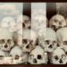 Close up of victim skulls