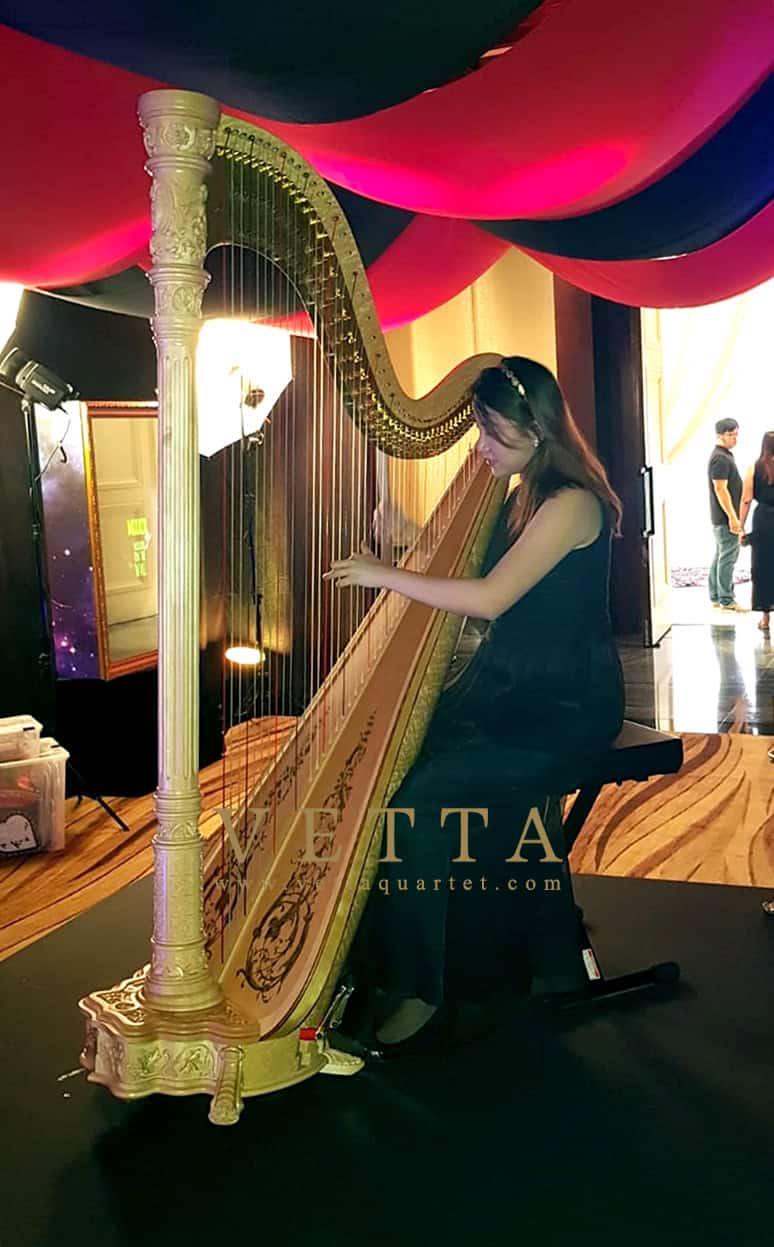Karen K the solo harpist for corporate event