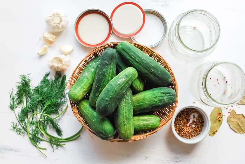 adding yougurt liquid to make lacto fermented pickles | Family Cuisine 7 A fork holds up a pickle spear, in the background are all the pickling supplies.