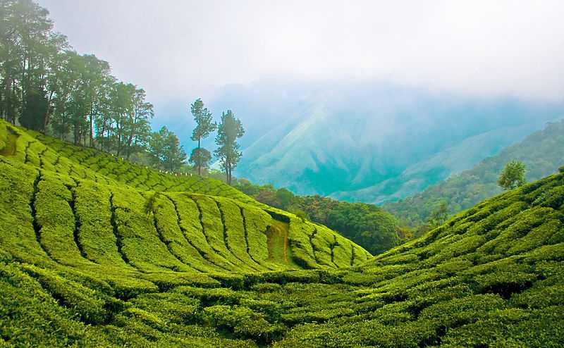 Holiday Destinations in India