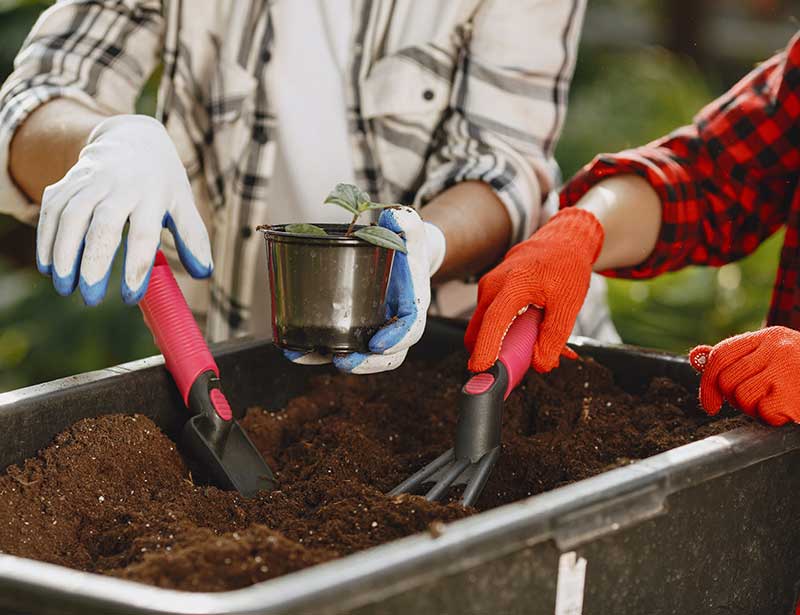What Can T You Compost And Can Compost At Home
