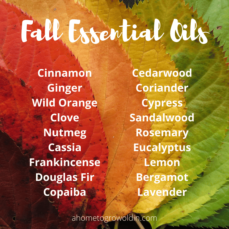 12 Essential Oil Blends for Fall - Eats with Jae