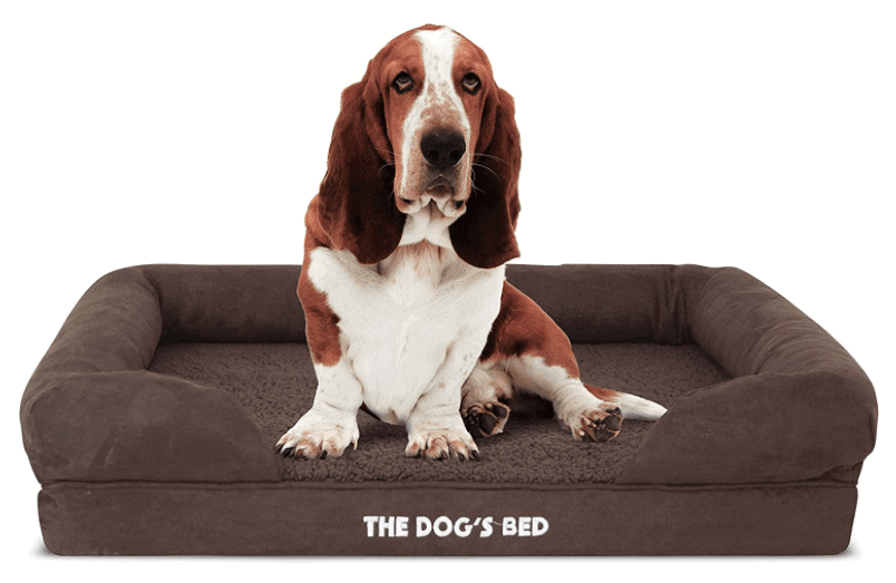 Our Favourite Dog Products
