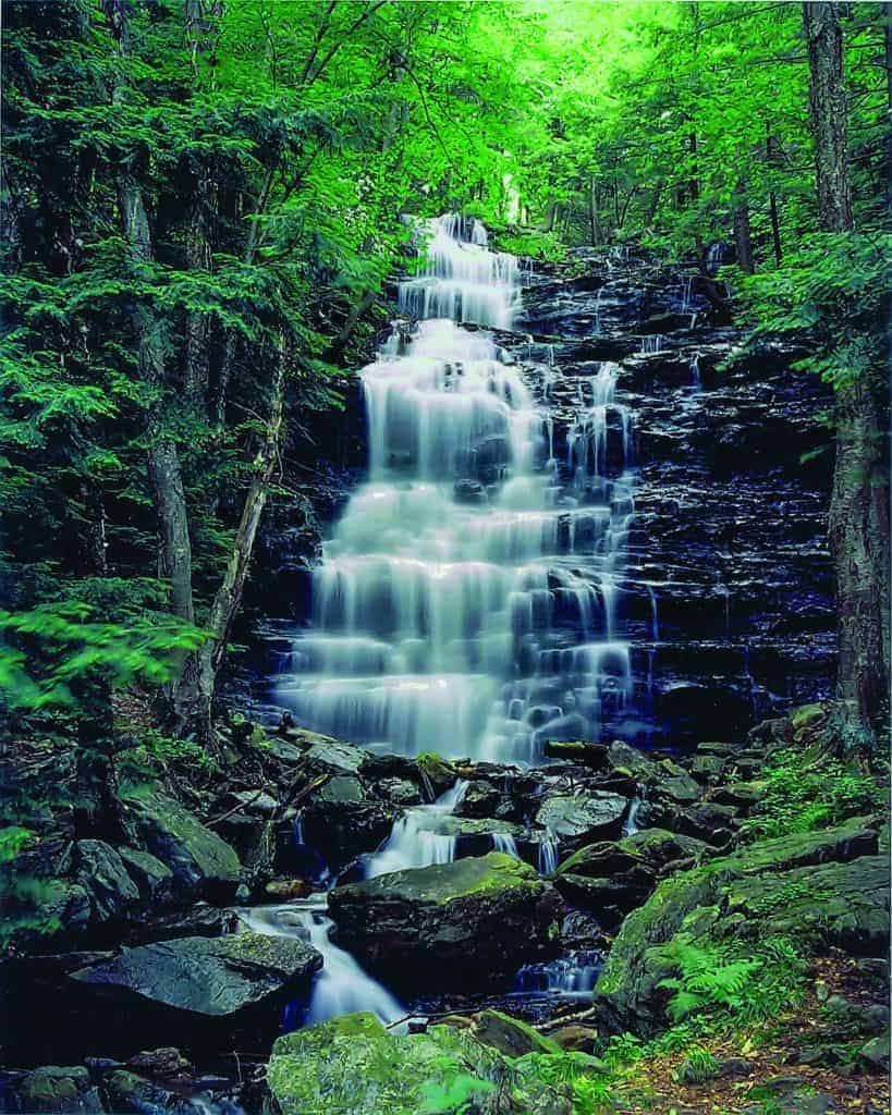 Ricketts Glen.
