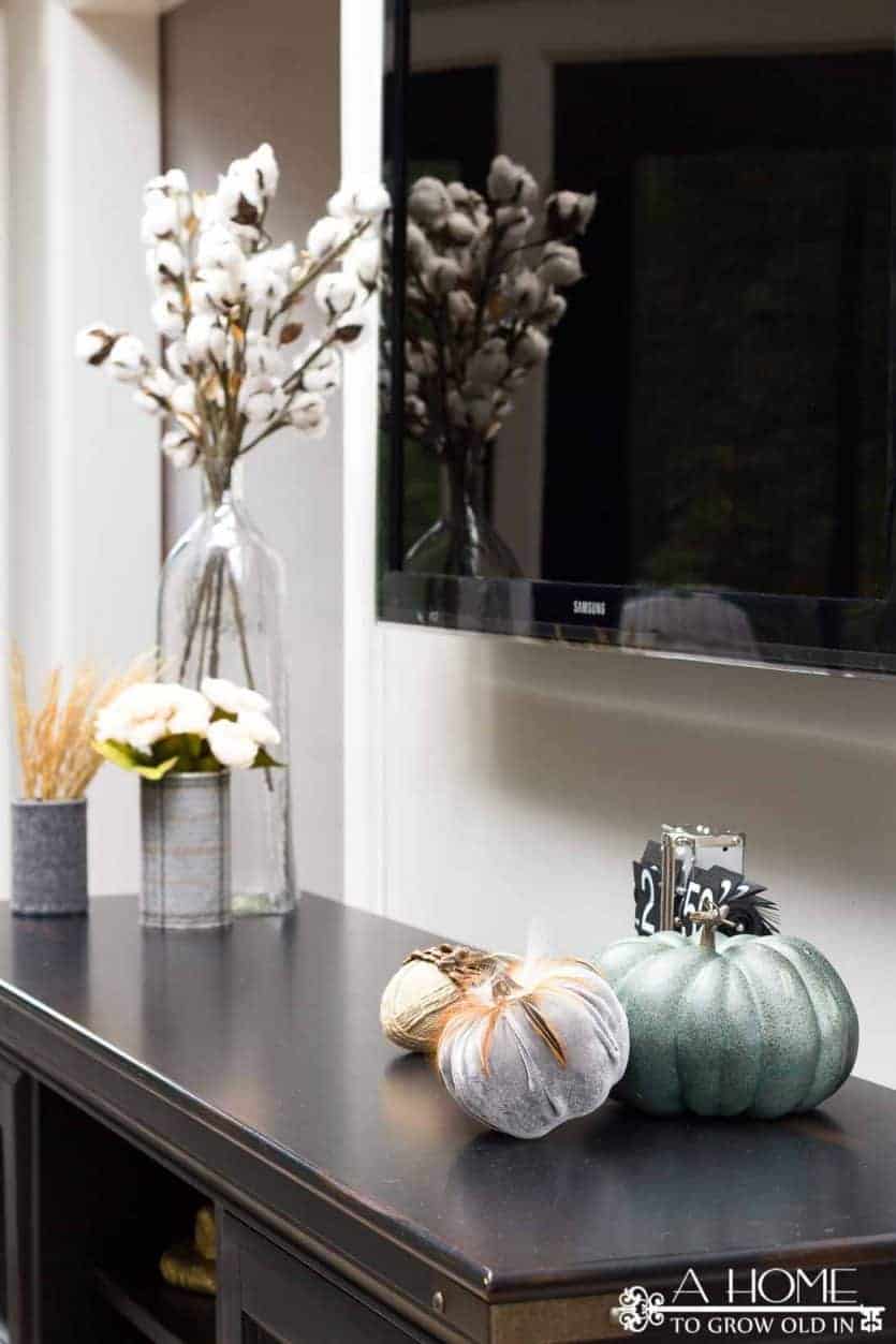 Looking for fall home decor ideas? Β This home tour has lots of cozy inspiration to warm you up!