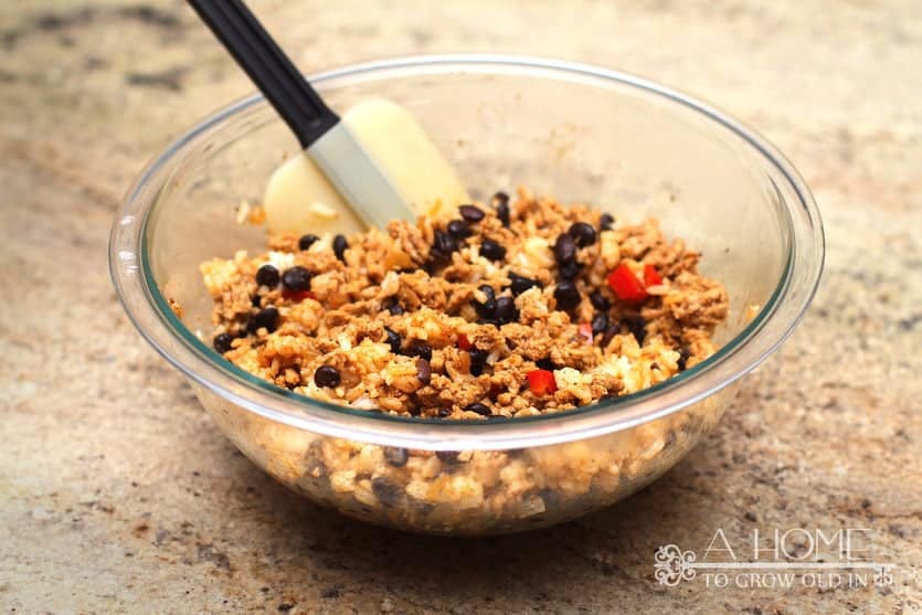 mix ground turkey, rice, and beans together