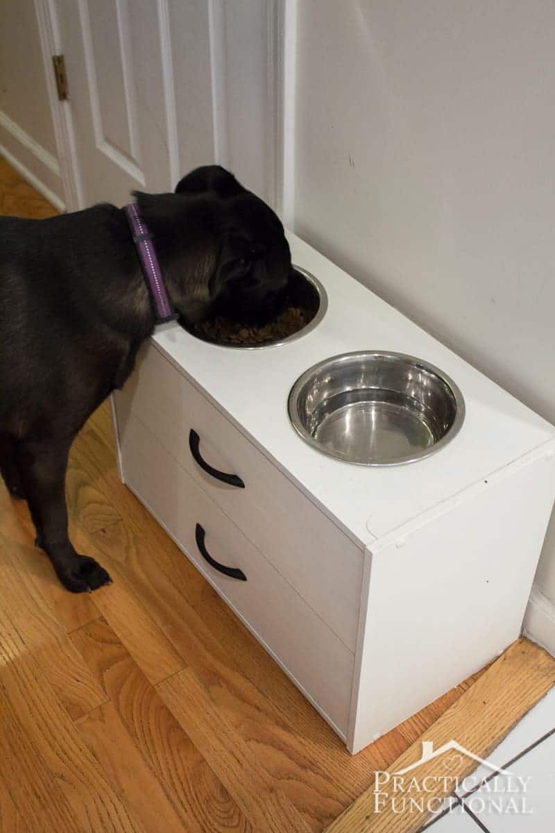 https://sp-ao.shortpixel.ai/client/q_lossy,ret_img/http://ahometogrowoldin.com/wp-content/uploads/2017/03/Turn-a-small-dresser-into-a-simple-DIY-raised-dog-bowl-stand-in-just-a-few-minutes-all-you-need-is-a-jigsaw.jpg