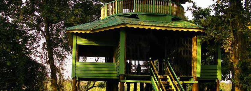 Gorumara Gateway dooars_info