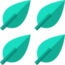 002-coca