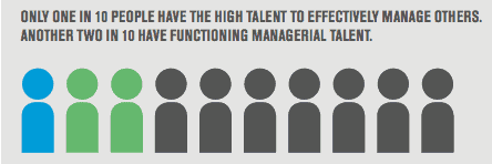 Developing Leaders: What To Do When Your Team Grows Too Big 13 Developing Leaders