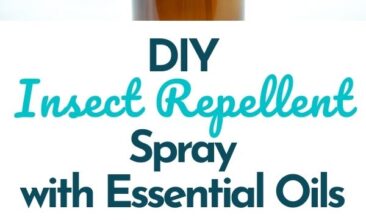 Pinterest pin with two images. One image is of an amber glass spray bottle labeled "Bug Off". Second image is another angle of the spray bottle. Text overlay says, "DIY Insect Repellent Spray: that works!"