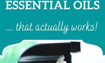 Pinterest pin image is of an amber glass spray bottle labeled "Bug Off". Text overlay says, "DIY Insect Repellent Spray: that works!"