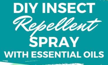 Pinterest pin with two images. One image is of an amber glass spray bottle labeled "Bug Off". Second image is another angle of the spray bottle. Text overlay says, "DIY Insect Repellent Spray: that works!"