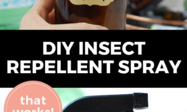 Longer Pinterest pin with two images. Top image is of an amber glass spray bottle labeled "Bug Off". Bottom image is another angle of the spray bottle. Text overlay says, "DIY Insect Repellent Spray: that works!"