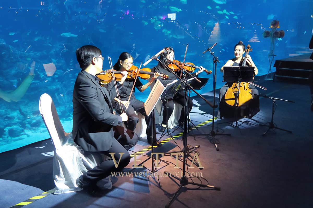 Jimmy's Wedding at RWS Sea Aquarium