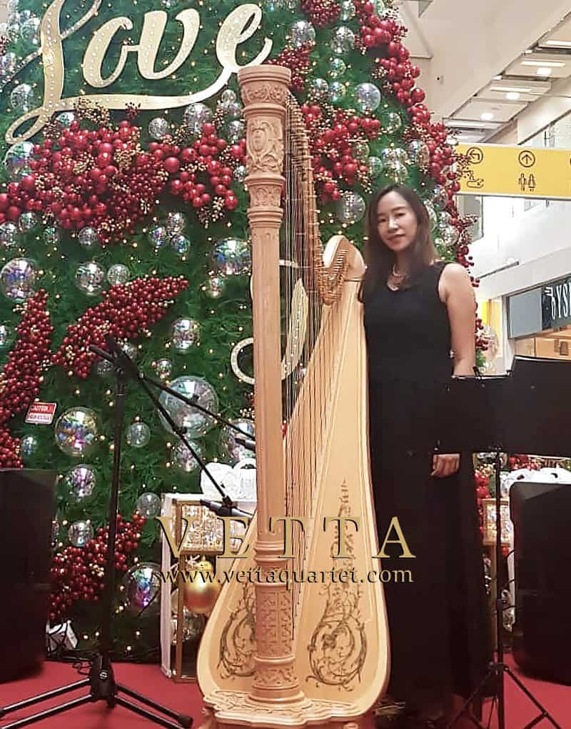 Solo Harp for Christmas at Clarke Quay Central