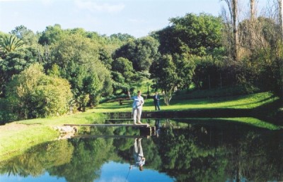 flyfishing-jonkershoek
