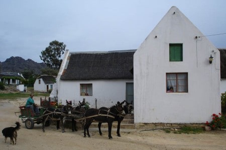 Cederberg community