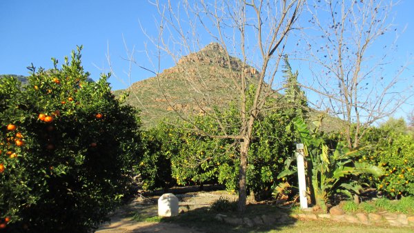 boskloof,clanwilliam