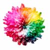 Rainbow flower for testimonials page Rainbow flower for testimonials page